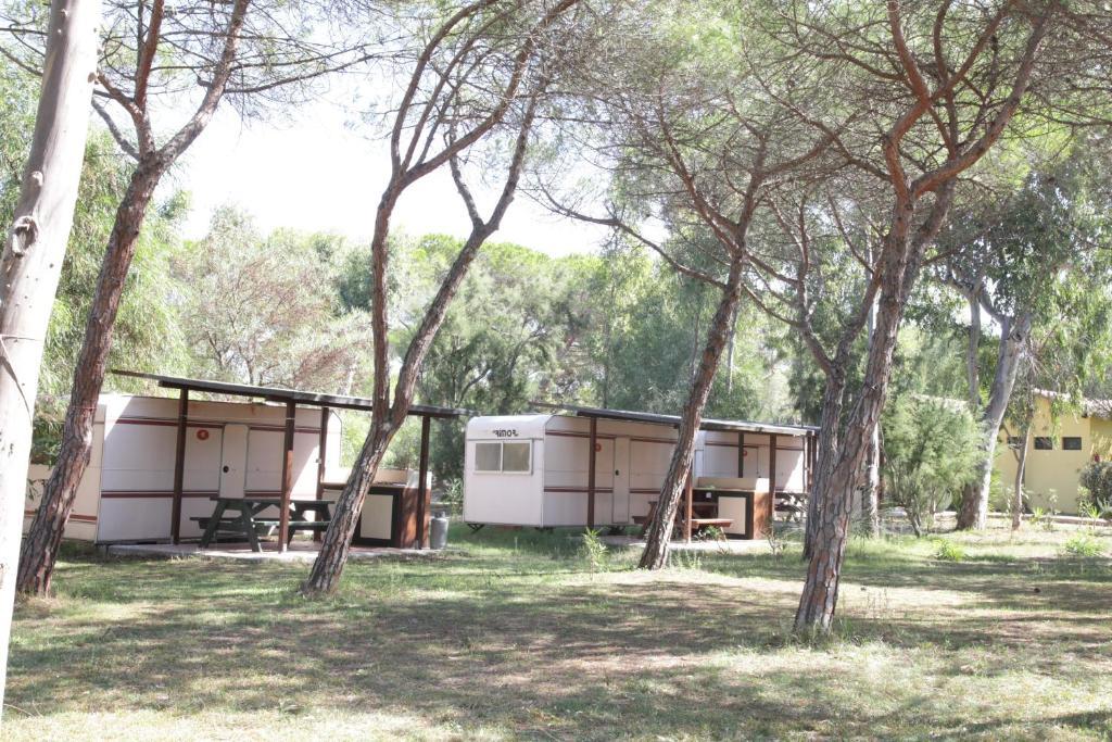Camping Camping Golfo Dell'asinara 4*