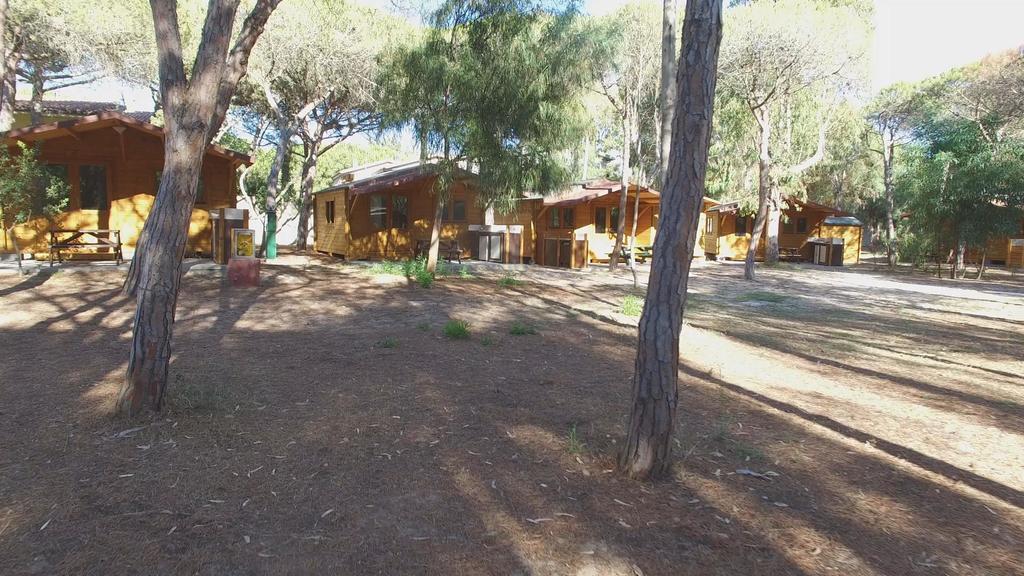Campsite Golfo Dell'asinara Platamona